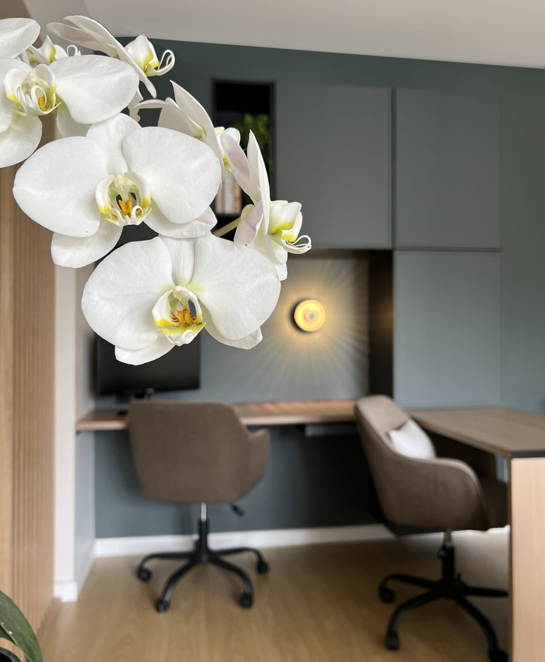 Le pré au bois - bureau Réalisation d'un double bureau